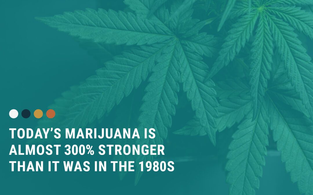 The Truth About Marijuana and THC: Does Your Teen Have an Exit Plan?